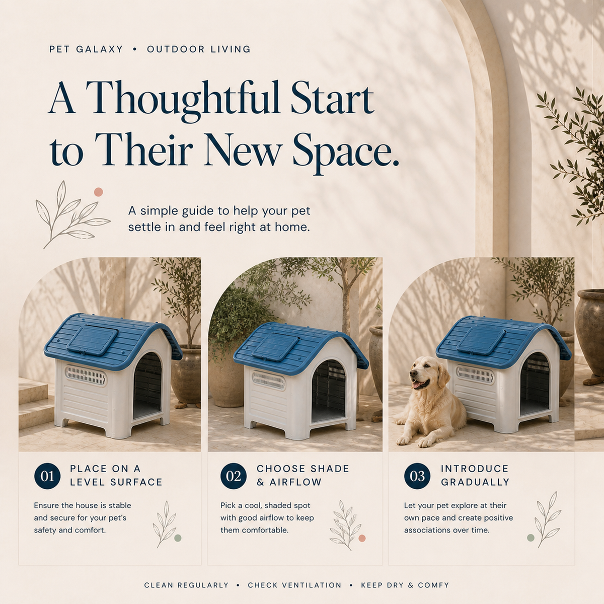 Dog house placement shade airflow and gradual introduction guide