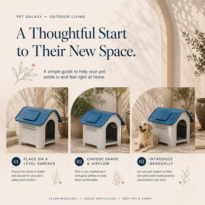 Dog house placement shade airflow and gradual introduction guide