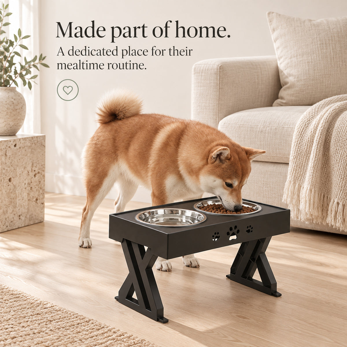 Shiba Inu at elevated double feeding stand