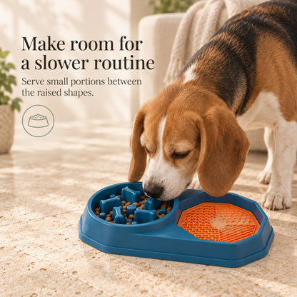 Beagle using the blue slow feeder bowl
